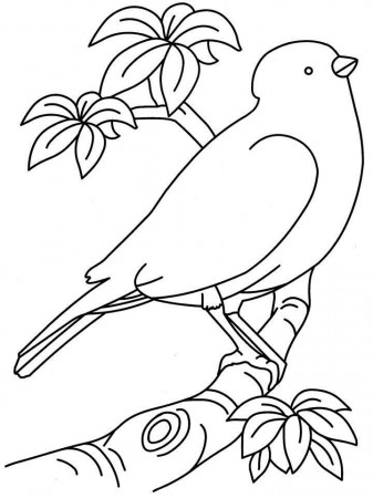 Birds Coloring Pages For Kids Printable | Animal Coloring Pages 