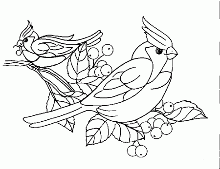 colorwithfun.com - Pictures of Birds to Colour in