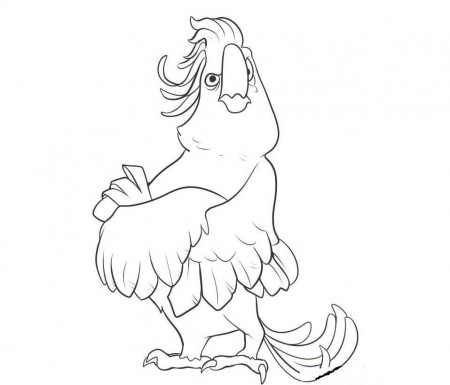 Free Animals Coloring Pages Zoo To Kids