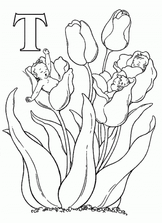 Download Elf Babies Sleeping Around Flowers And Letter T Coloring 