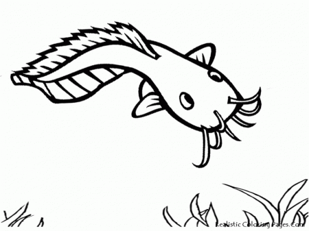 Koi Coloring Pages 287783 Koi Fish Coloring Page