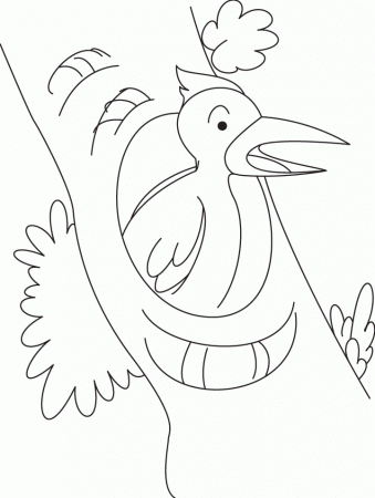 Woodpecker looking for food coloring page | Download Free 