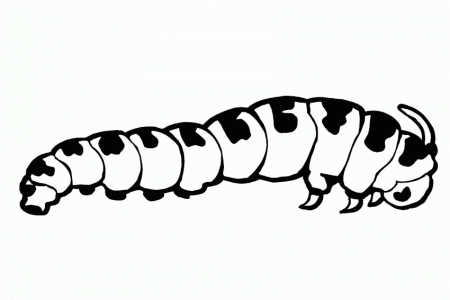 Caterpillar Coloring Pages | Clipart Panda - Free Clipart Images