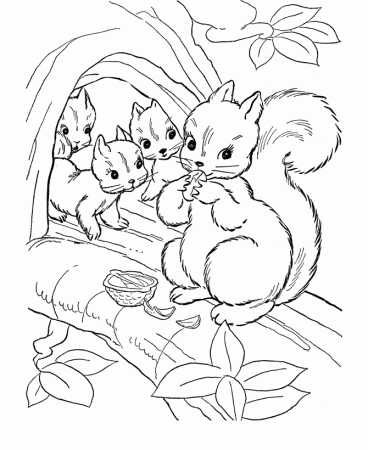 Sweet Squirrel family Coloring page | Coloring Pages