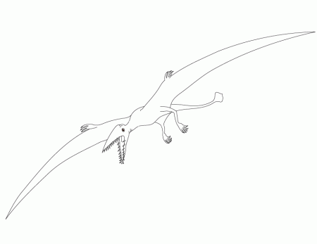 Pterodactyl Flying Dinosaur Coloring Page | Free Printable 