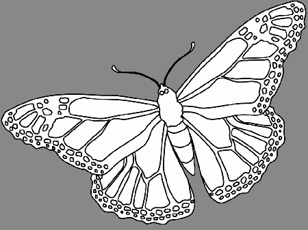 butterfly-pictures-to-color-121