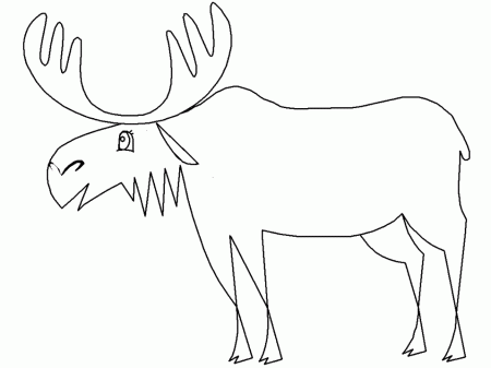 Moose Animals Coloring Pages & Coloring Book