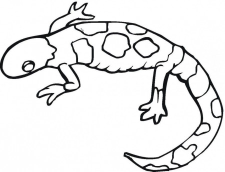 Gecko Lizard Black And White Vector Coloring Page Id 105362 224572 