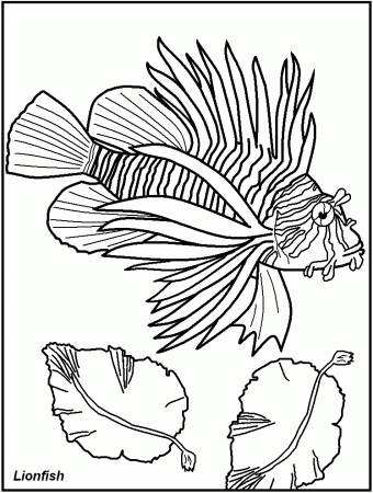 of fish for adults Colouring Pages