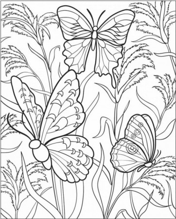 Difficult Butterfly Coloring Pages | 99coloring.com