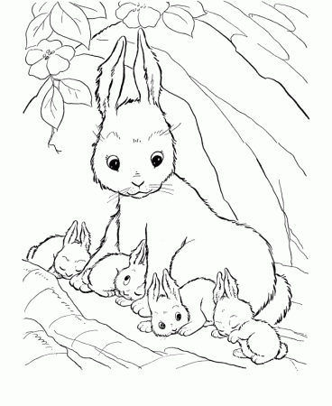 Printable Rabbit Coloring pages