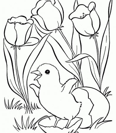 Kids Coloring Pages | Printable Coloring Sheet