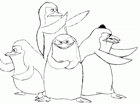 Animal Coloring Penguins, : The Gang Of Penguin Of Madagascar 