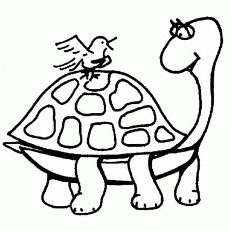 Turtle Coloring Sheets - HD Printable Coloring Pages