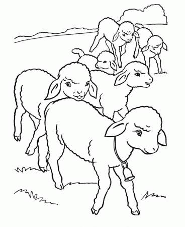 Free Printable Sheep Coloring Pages For Kids