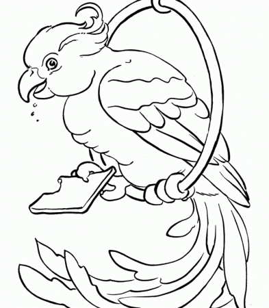 Free-birds-coloring-pages |coloring pages for adults,coloring 