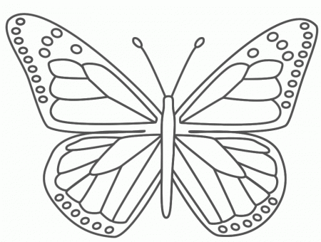 Butterfly Coloring Pictures For KidsFun Coloring | Fun Coloring