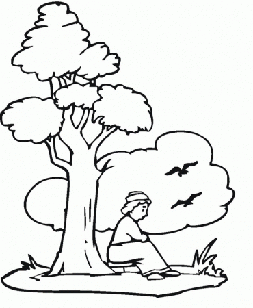 trees in spizza for kids Colouring Pages
