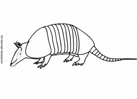 Games Armadillo Coloring Pages Printable - Kids Colouring Pages