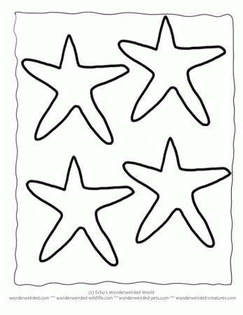 Starfish Drawing For Kids | Clipart Panda - Free Clipart Images