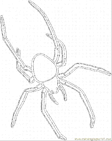 Coloring Pages Spider 1 (Animals > Arachnids) - free printable 