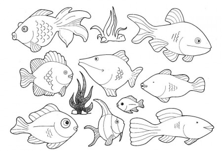 coloring pages of saltwater fish : Printable Coloring Sheet ~ Anbu 