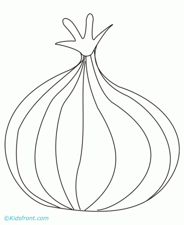 Onion Drawing Images & Pictures - Becuo