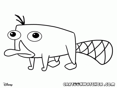Perry The Platypus Phineas And Ferb Coloring Pages