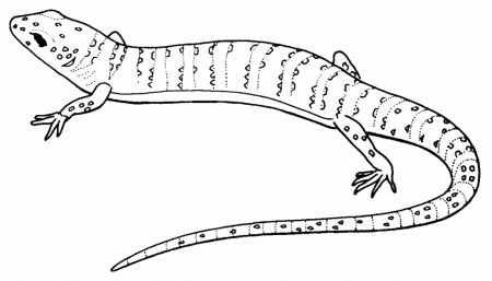Lizard Coloring Page - Free Coloring Pages For KidsFree Coloring 