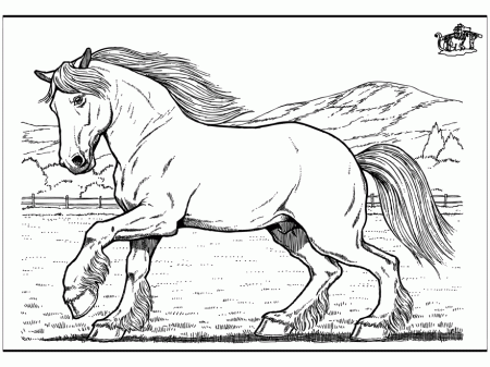 Horse Coloring Page Horses Run In The Pasture
