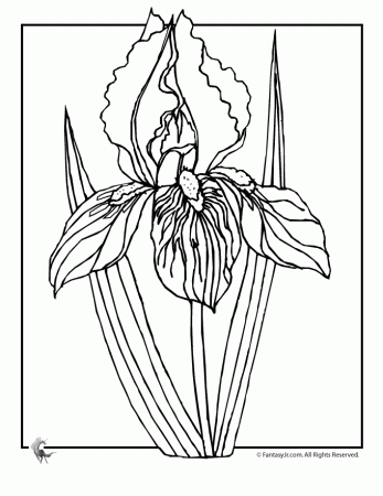 Spring-flowers-coloring-2 | Free Coloring Page Site
