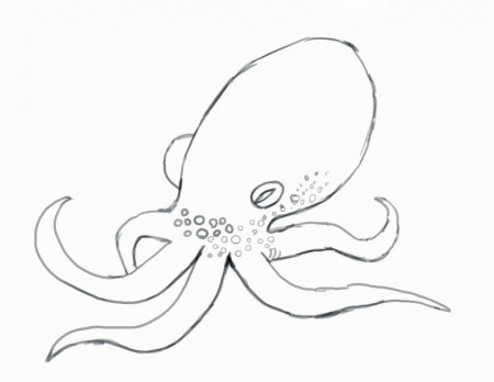 Simple Octopus Drawing For Kids Wallpaper « Free latest HD 