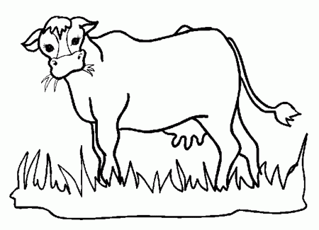 Animal Coloring Pages: Cow coloring pages