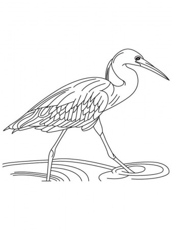 Egrets coloring pages. Download and print Egrets coloring pages