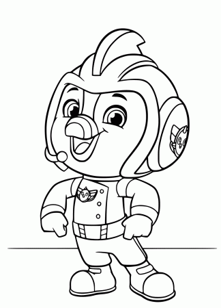 Pin on Birds Coloring Pages