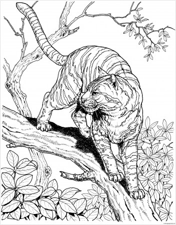 Hard Animal 2 Coloring Pages - Hard Coloring Pages - Coloring Pages For  Kids And Adults