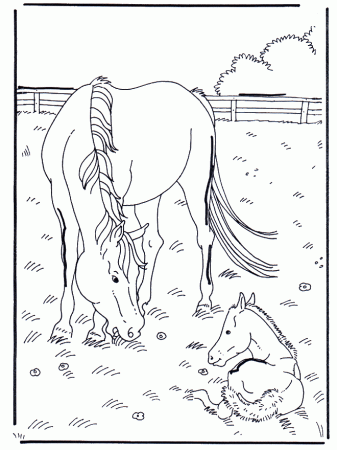 Horse and foal - Horses