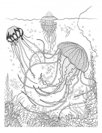 Coloring pages to print - Underwater on ...