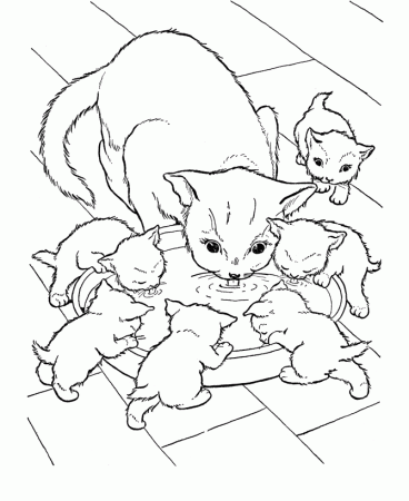 Cat Coloring Pages | Cat colors ...