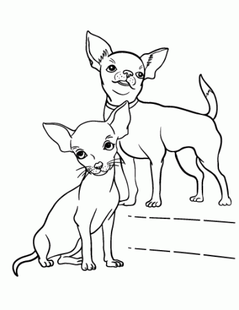 Chihuahua Coloring Page For Kids