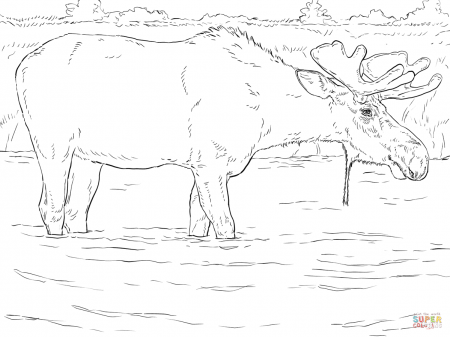 Cartoon Moose Coloring Page - Coloring Pages For All Ages