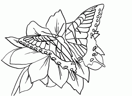 FREE Butterfly Coloring Pages: Tiger Swallowtail