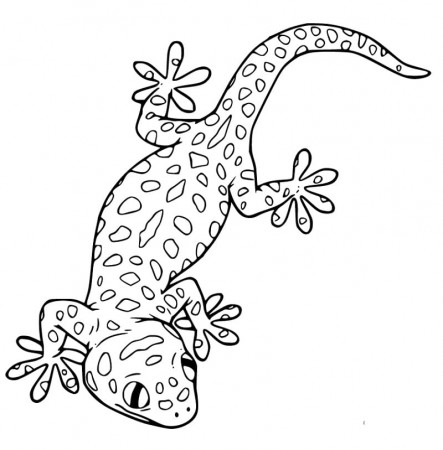 Leopard Gecko 3 Coloring Page - Free Printable Coloring Pages for Kids