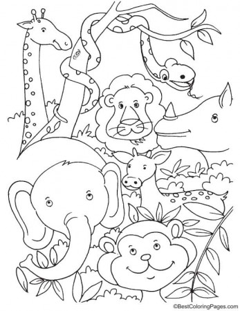 Tropical rainforest animals coloring page | Jungle coloring pages, Animal  coloring books, Animal coloring pages