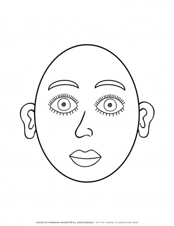 Face Outline | Coloring Page | Planerium