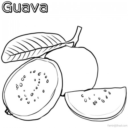 Guava Coloring Pages PDF For Kids - Coloringfolder.com in 2021 | Guava, Coloring  pages for kids, Sunflower coloring pages