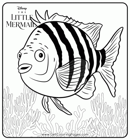 The Little Mermaid Fish Flounder ...