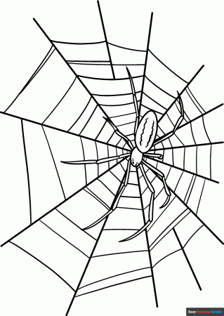 Spider Web with Spider Coloring Page ...