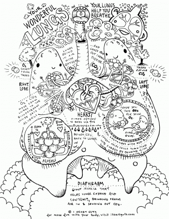 Free Respiratory System Coloring Page, Download Free Respiratory System Coloring  Page png images, Free ClipArts on Clipart Library