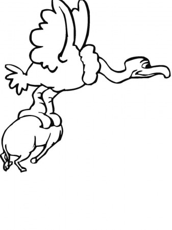 Vulture Coloring Pages - Best Coloring Pages For Kids